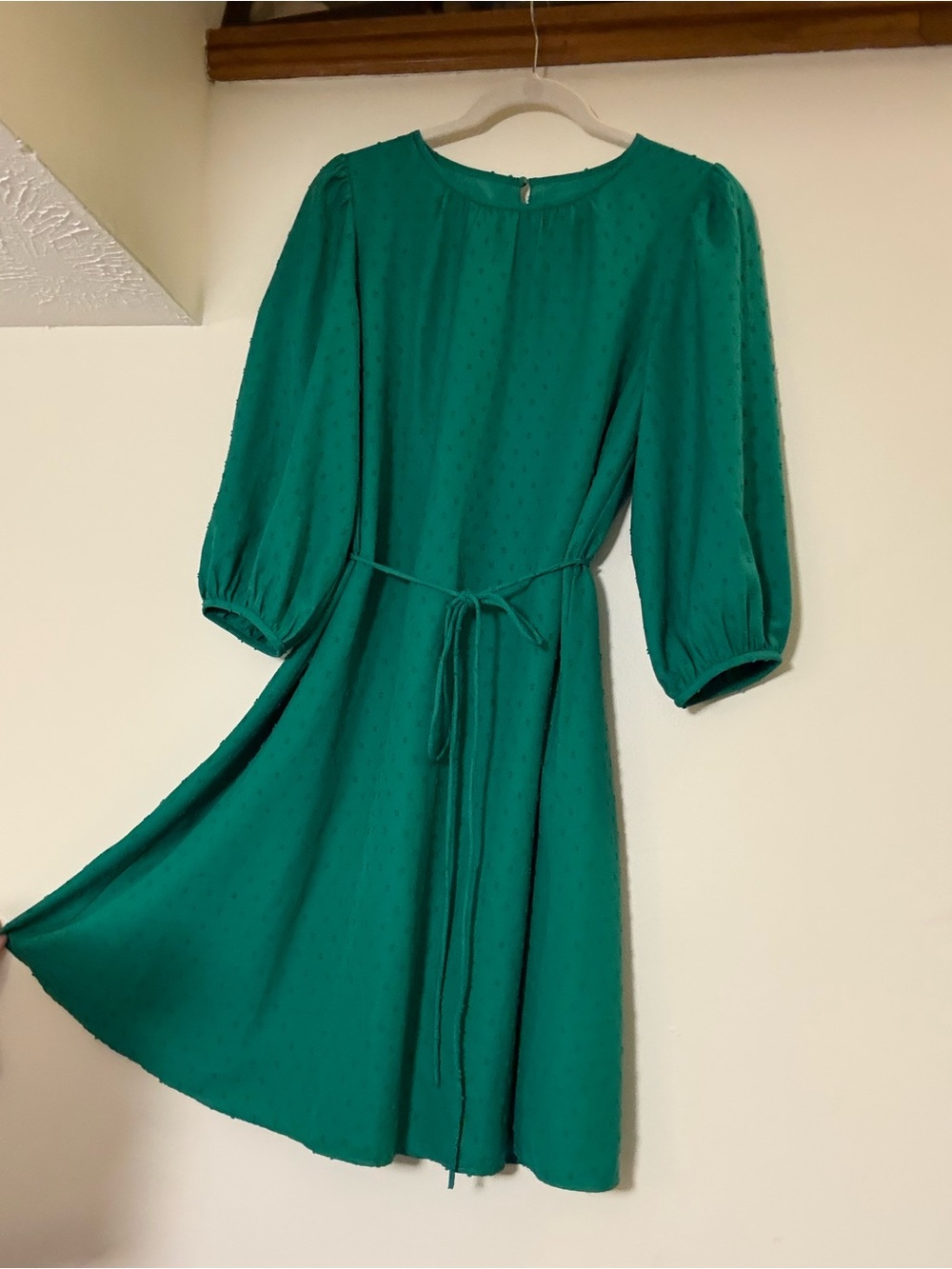 Ann Taylor Factory Teal Long-Sleeve Tie-Waist Midi Dress with Swiss Dots - Picture 6 of 7
